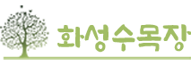 홈페이지